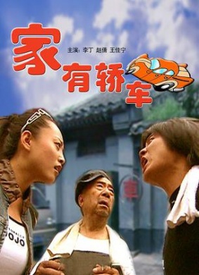 家有轿车