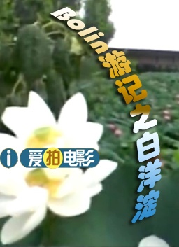 博林游记之白洋淀（上）
