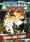 Animals in the Wild