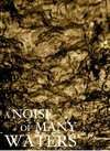 海神呼啸A Noise of Many Waters