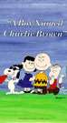 小英雄擂台斗智A Boy Named Charlie Brown