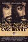 知法犯法Gang Related