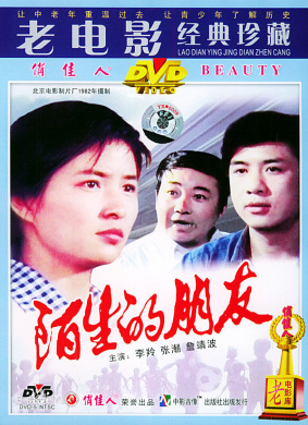陌生的朋友Strange Friends