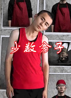少数分子Minorities