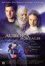 北极光下Aurora Borealis