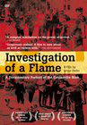 Investigating Love