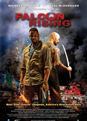 猎鹰突起Falcon Rising
